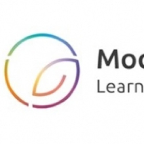 MLT8schools